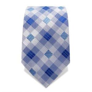 Cravate à carreaux blancs et bleus